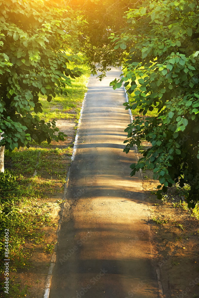 Obraz premium Summer park road