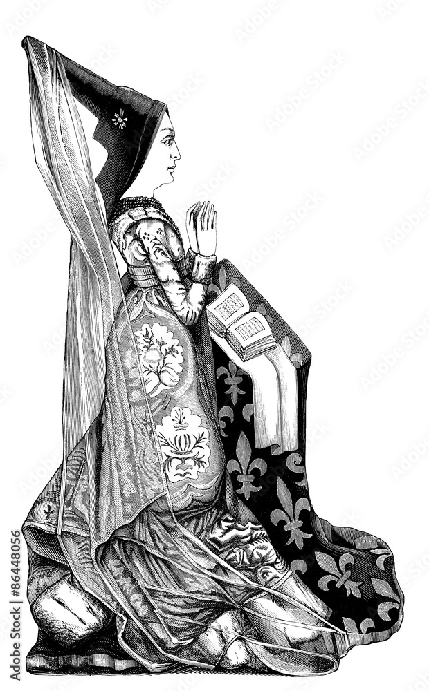 Medieval Aristocracy : Lady - 15th century Stock Illustration | Adobe Stock