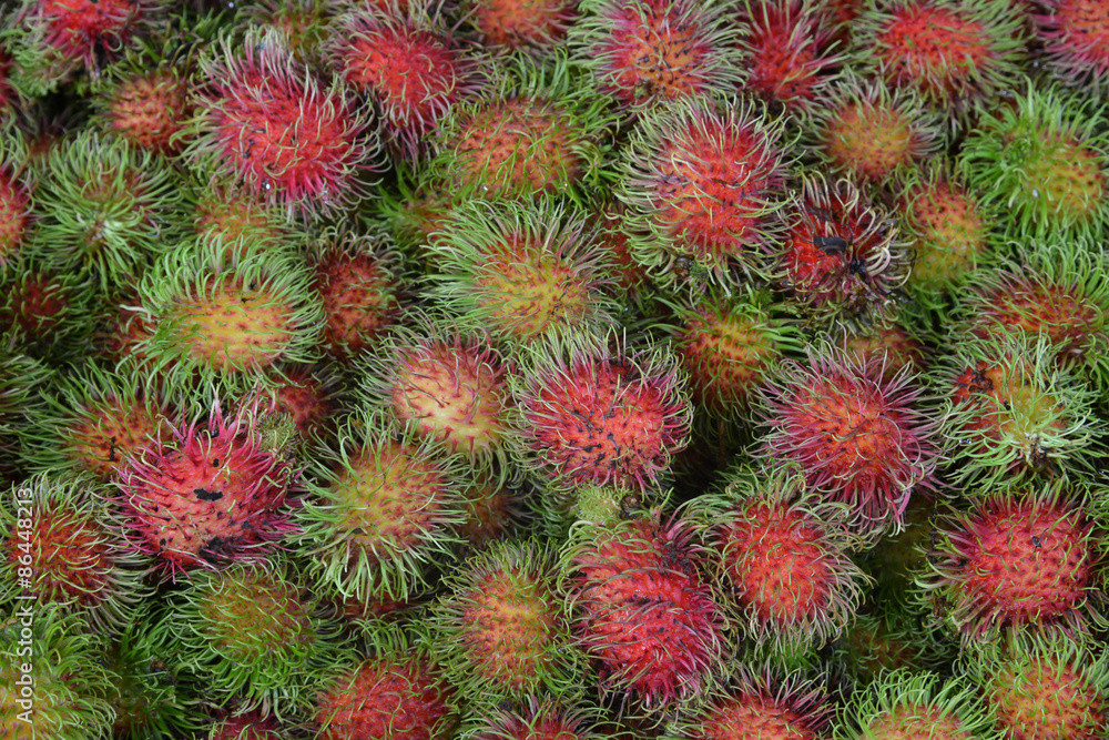Rambutan Fruit Thailand Rambutan Fruit Thailand