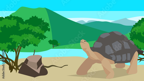 Tortoise near the river, seamless, animal and nature
