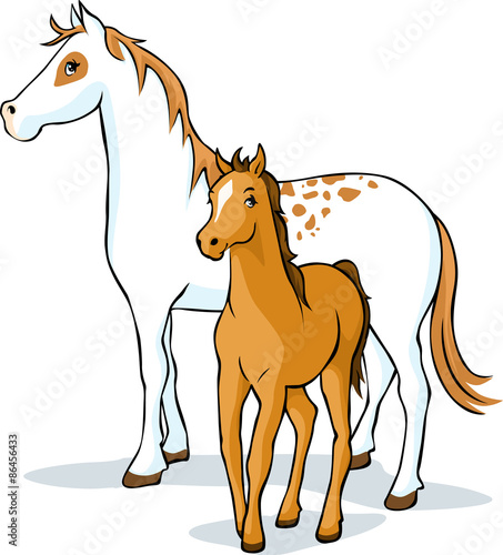 horses - mare and foal, vector illustration