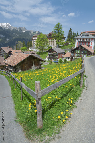 Rural scene of Wengen, Swiss © leeyiutung