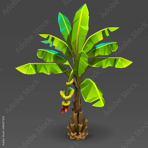 Banana tree