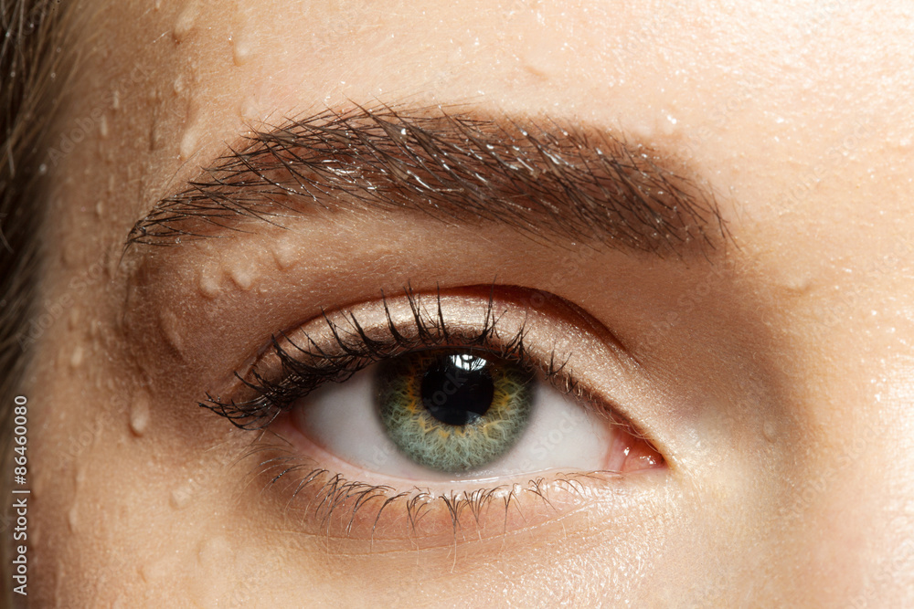 Fototapeta premium Close-up eye with black eyelashes and brown eyebrows with water drops