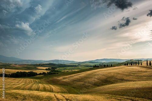 summer landscape of Tuscany  Italy.