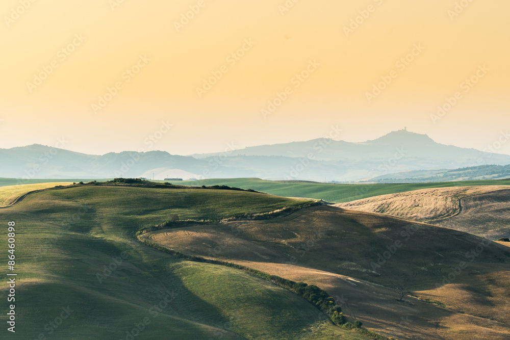 Fototapeta premium summer landscape of Tuscany, Italy.