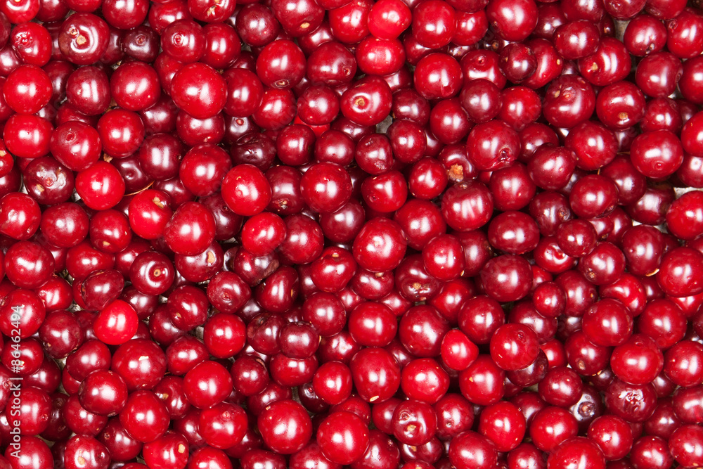 red cherry red cherry