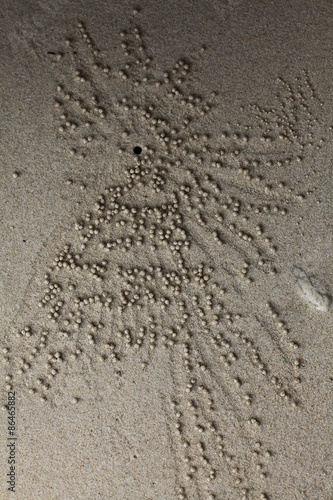 background texture of pebble stone beach
