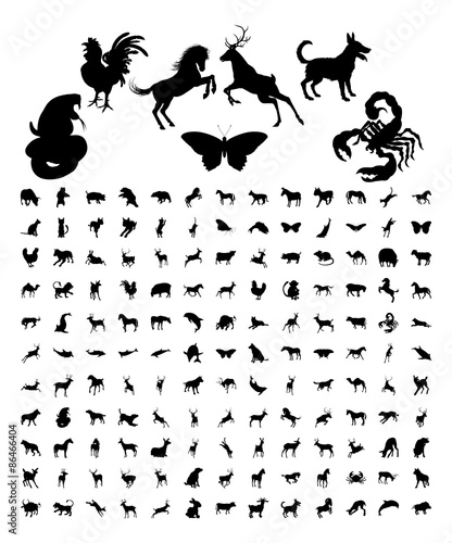 Animal Silhouettes Bundle