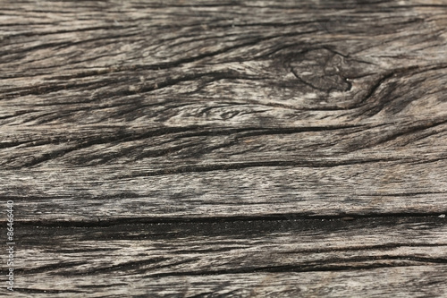 old wood texture of dried