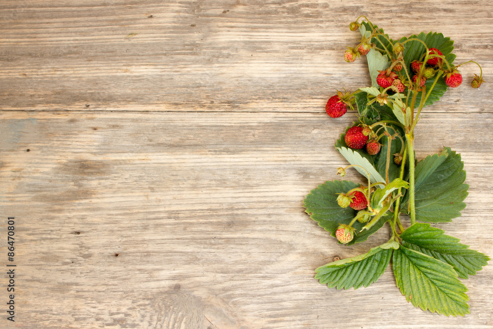 ripe strawberry on a wooden background. Copy space to right.. Copy space to right. ripe strawberry on a wooden background. Copy space to right.. Copy space to right.
