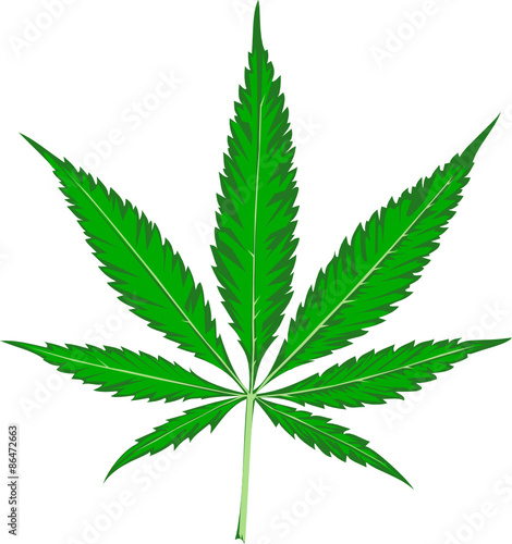Cannabis Leaf svg 38kb 16 elements