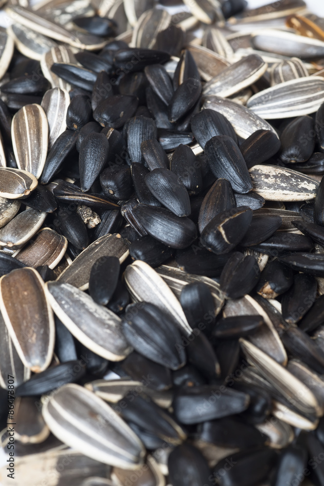 organic sunflower seed for background uses