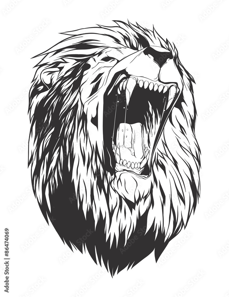 Naklejka premium Vector illustration with lion head