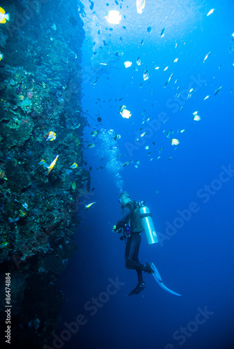 Stampa su Tela diver blue water scuba diving bunaken indonesia sea reef ocean