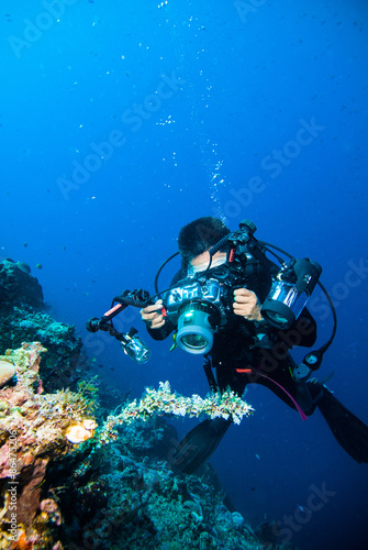 underwater photography photographer diver scuba diving bunaken indonesia reef ocean