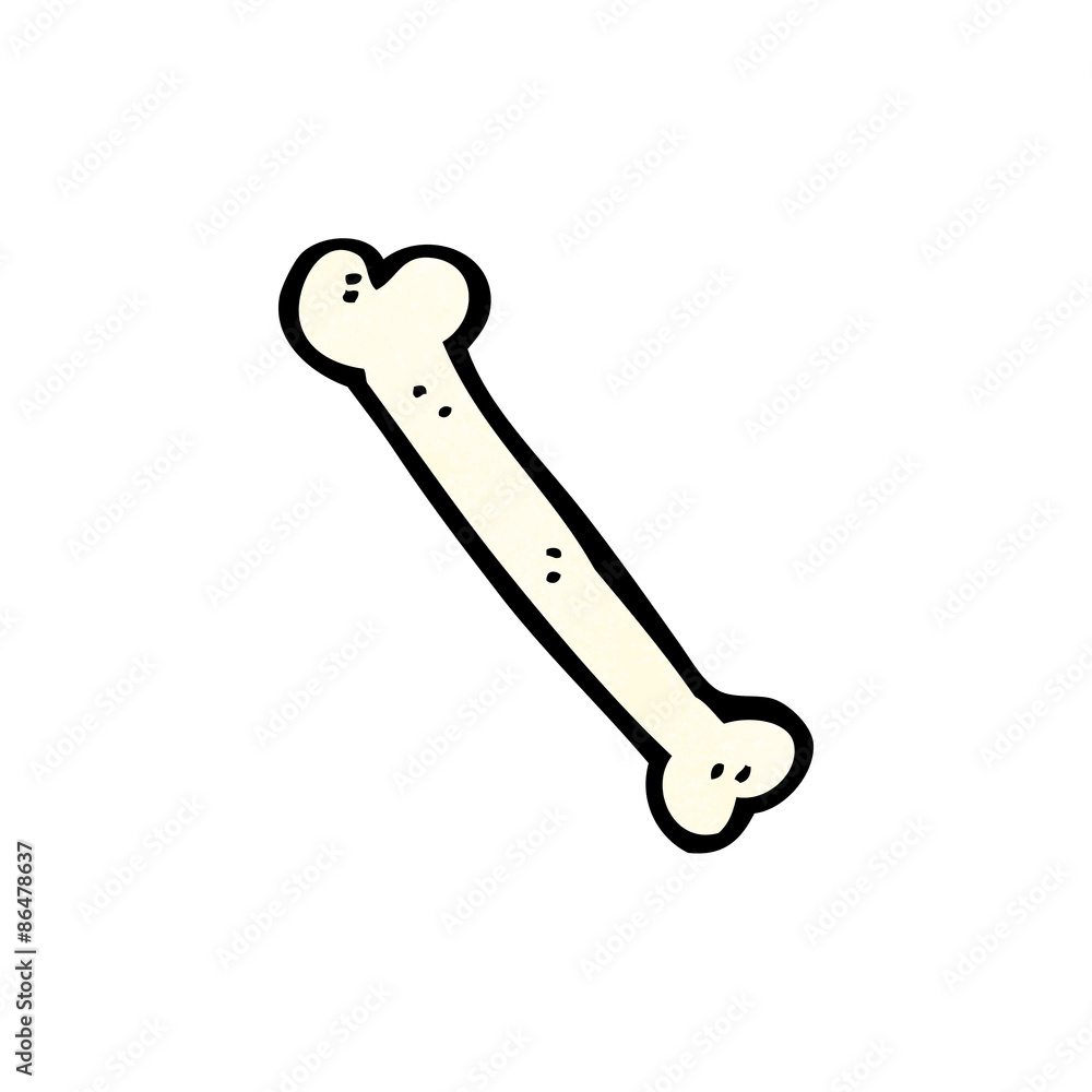 cartoon bone cartoon bone