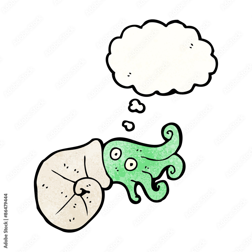 cartoon nautilus squid cartoon nautilus squid