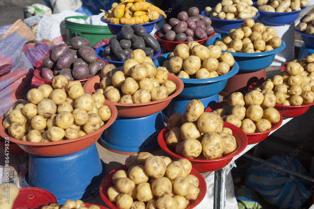 portions of potato in the Andean market, Ecuador