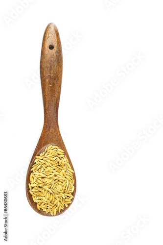 Thai yellow paddy jasmine rice in wooden spoon on white