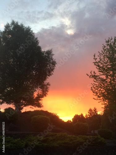 Beautiful sunset over hill through trees