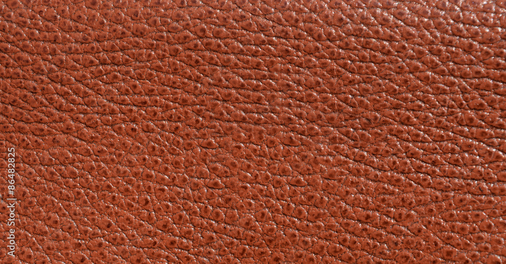 Fototapeta premium Leather