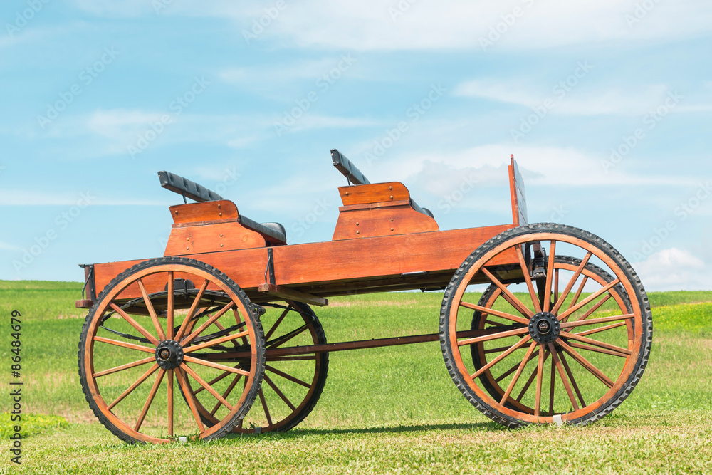 historic carriage on beautiful field and Blue skies 
