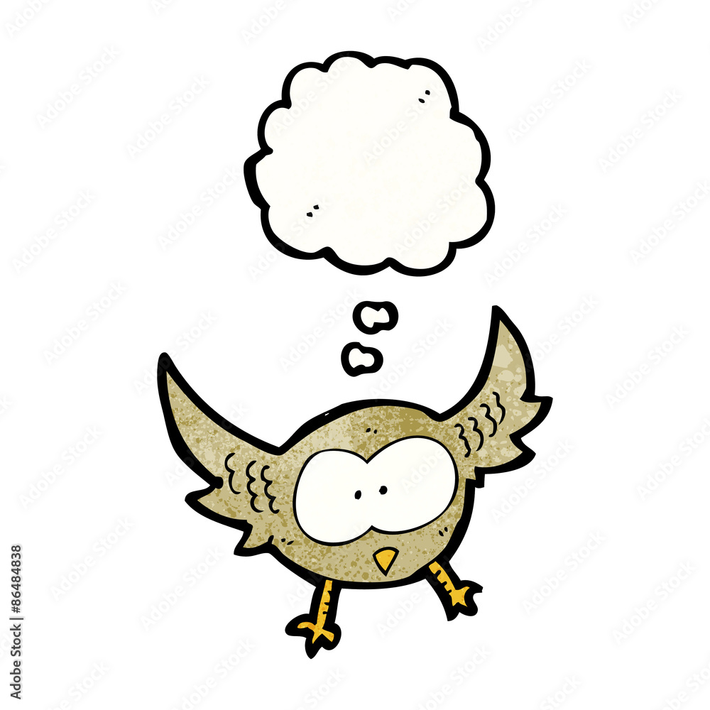 cartoon owl cartoon owl