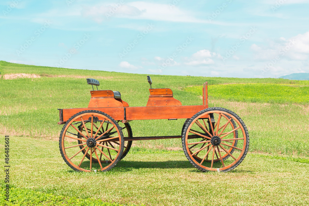 historic carriage on beautiful field and Blue skies 
