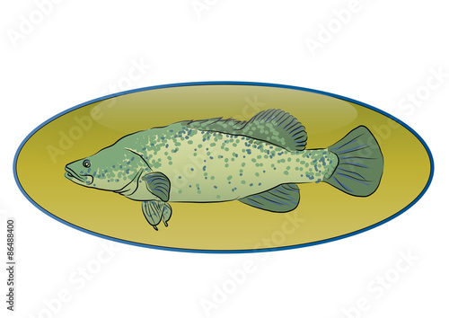 Fish Trophy