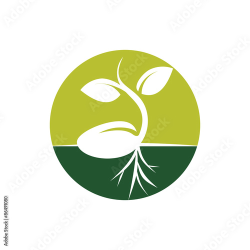 Circle Sprout Seed Grow Vector Illustration