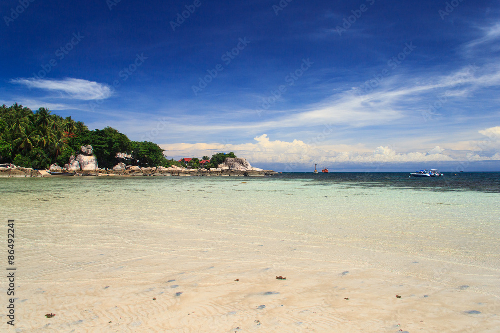 Palm tree over lagoon with boats and white sand beach at sunshine day. Koh Tao island, Thailand Palm tree over lagoon with boats and white sand beach at sunshine day. Koh Tao island, Thailand