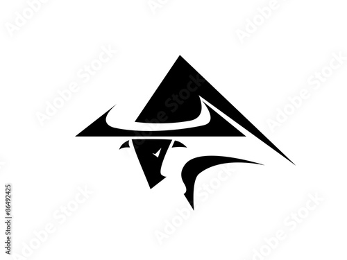 Bull abstract 