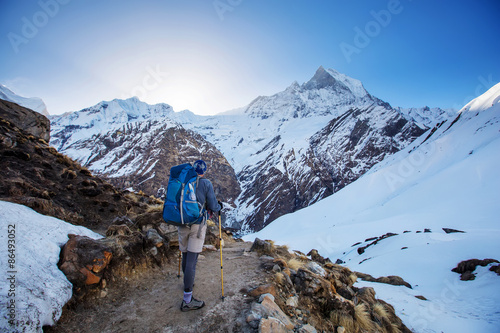Hiker on the trek in Himalayas, Anapurna valley, Nepal
