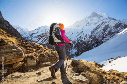 Quadro em tela Hiker on the trek in Himalayas, Anapurna valley, Nepal