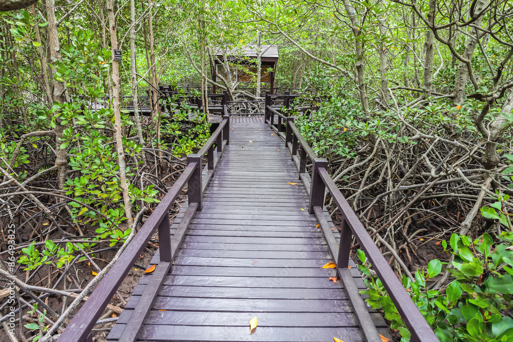 Wooden bridge the forest mangrove at Petchaburi, Thailand Wooden bridge the forest mangrove at Petchaburi, Thailand
