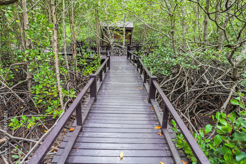 Wooden bridge the forest mangrove at Petchaburi  Thailand