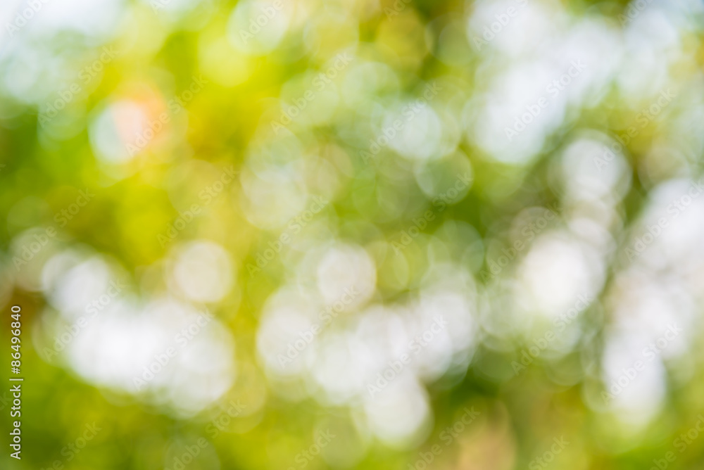 Bokeh tree Bokeh tree