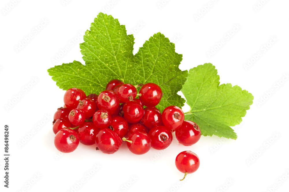 Redcurrant fruit on their leaves isolated Redcurrant fruit on their leaves isolated