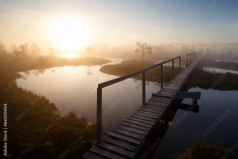 Sunrise in bog