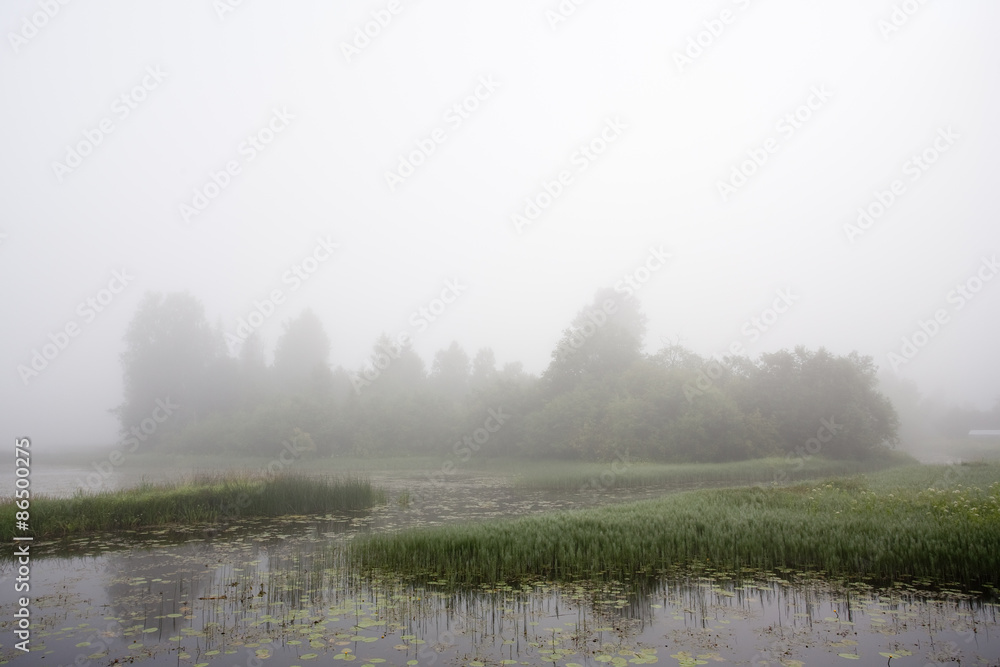 Foggy morning on lake