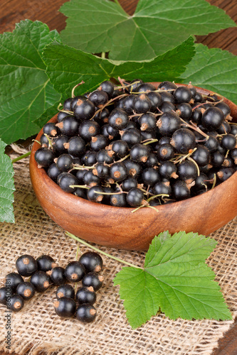 Black Currant Berry in a wooden bowl