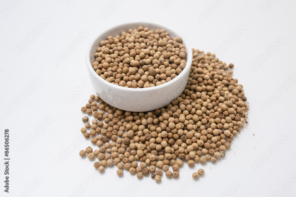 pepper isolated on white background pepper isolated on white background