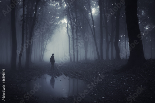 spooky dark forest © andreiuc88