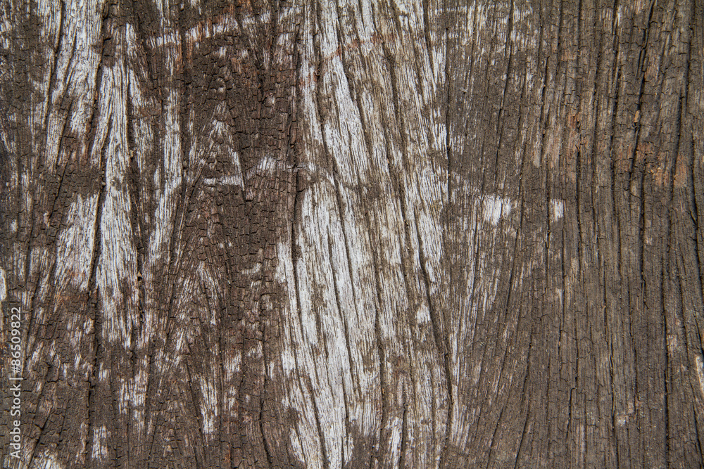 Old wood  background