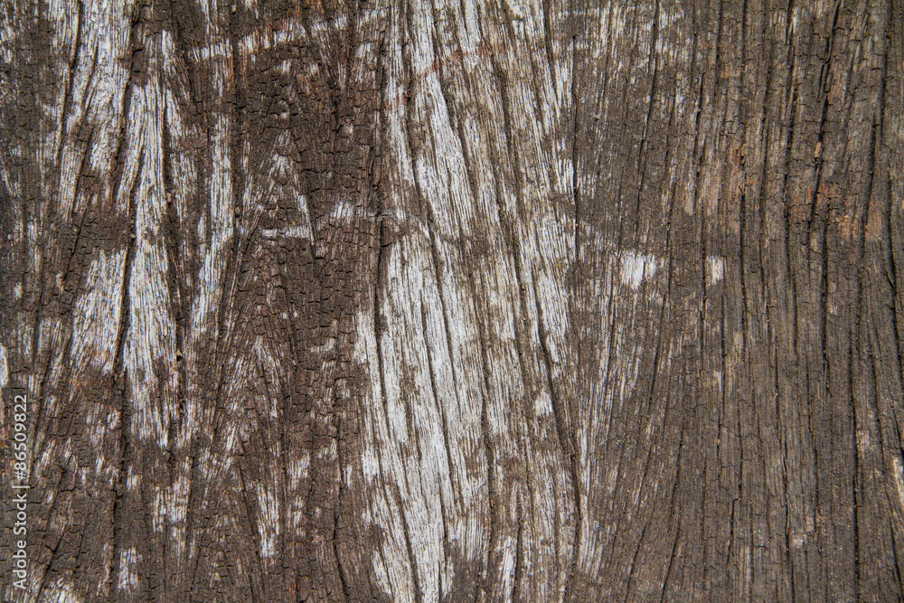 Obraz premium Old wood background