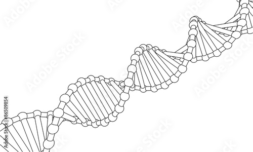 Chain vector DNA. The contours of the DNA.