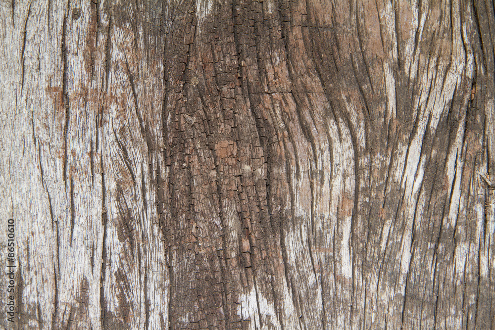 Old wood  background