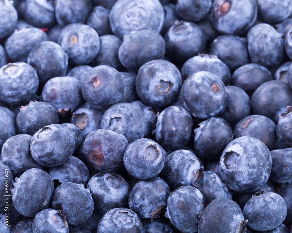 blueberries blueberries