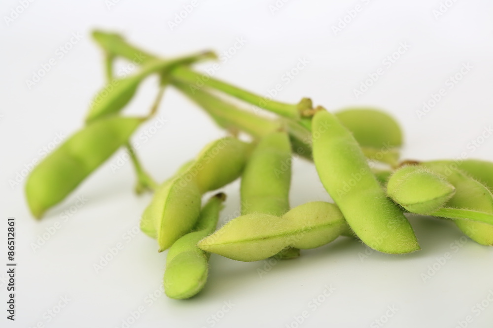 枝豆 枝豆